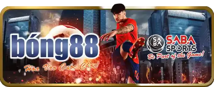 Mẹo cá cược thể thao hiệu quả tại winvn.11
